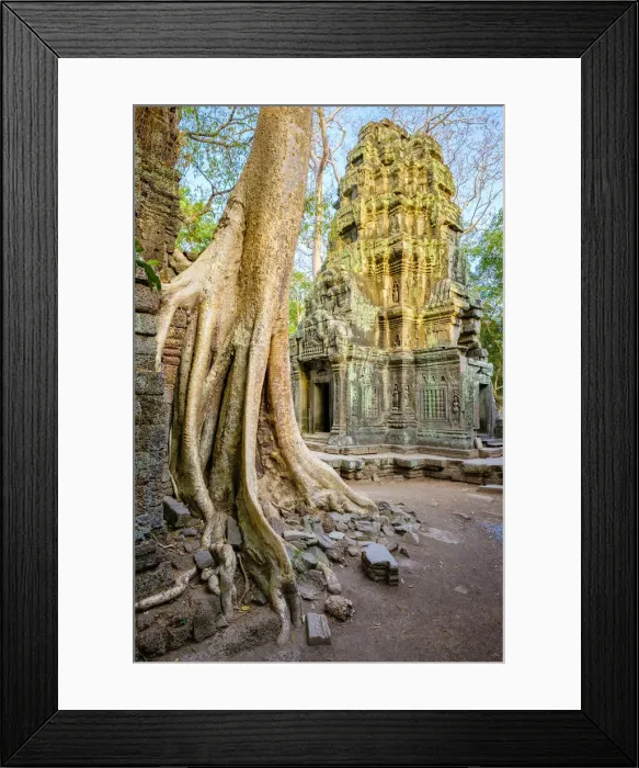 Framed Print : Ta Prohm temple ruins, Angkor, UNESCO World Heritage Site, Siem Reap Province, Cambodia Framed Print : Ta Prohm temple ruins, Angkor, UNESCO World Heritage Site, Siem Reap Province, Cambodia