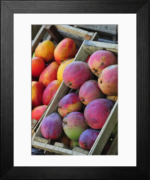 Framed Print : Fruit Stand in a market, Colombia, South America Framed Print : Fruit Stand in a market, Colombia, South America