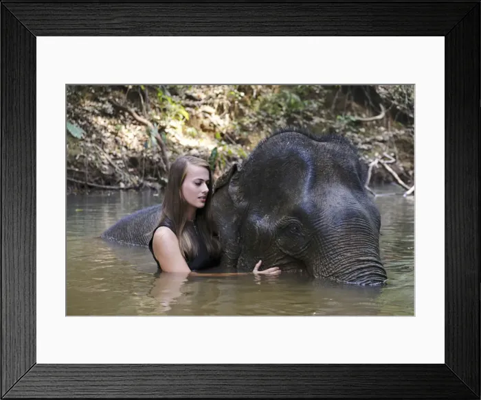 Framed Print : Asia, South East Asia, Cambodia, Mondulkiri, Elephant Sanctuary, woman volunteer Framed Print : Asia, South East Asia, Cambodia, Mondulkiri, Elephant Sanctuary, woman volunteer