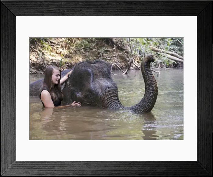 Framed Print : Asia, South East Asia, Cambodia, Mondulkiri, Elephant Sanctuary, woman volunteer Framed Print : Asia, South East Asia, Cambodia, Mondulkiri, Elephant Sanctuary, woman volunteer