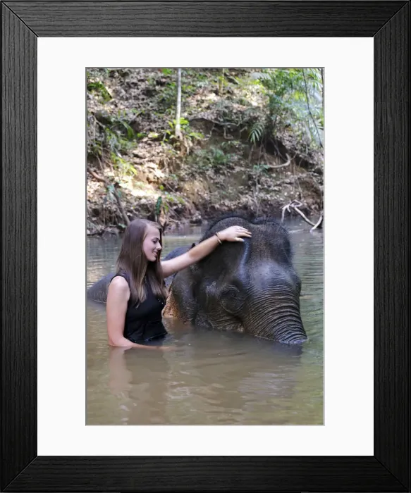Framed Print : Asia, South East Asia, Cambodia, Mondulkiri, Elephant Sanctuary, woman volunteer