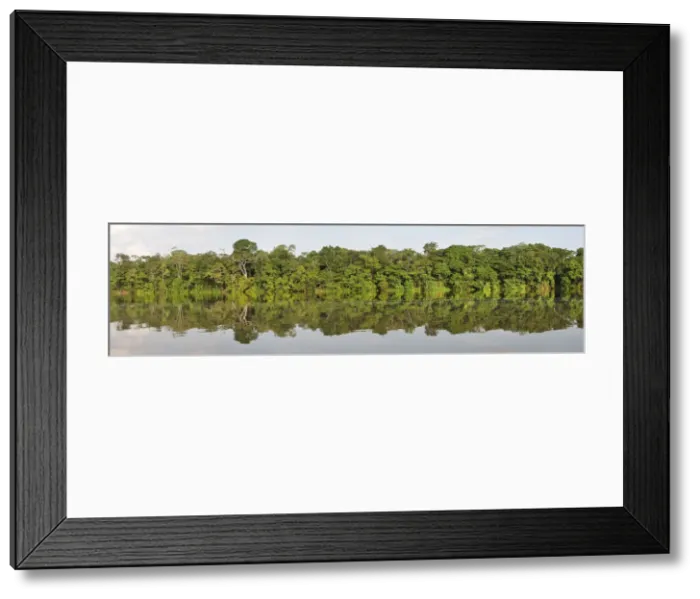 Framed Print : Lago de Tarapoto, Amazon River, near Puerto Narino, Colombia Framed Print : Lago de Tarapoto, Amazon River, near Puerto Narino, Colombia