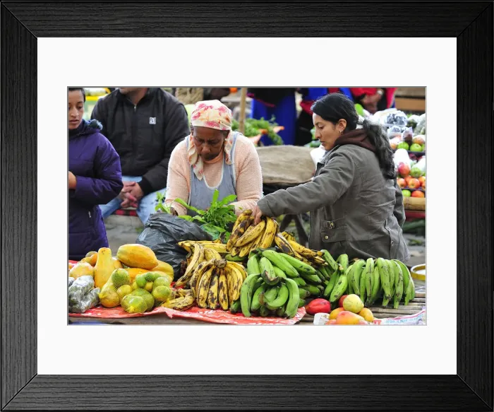 Framed Print : Woman selling banana at a Indian market in Silvia, Guambiano Indians, Colombia, South Framed Print : Woman selling banana at a Indian market in Silvia, Guambiano Indians, Colombia, South