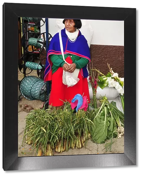 Indian woman at a market in Silvia, Guambiano Indians, Colombia, South America