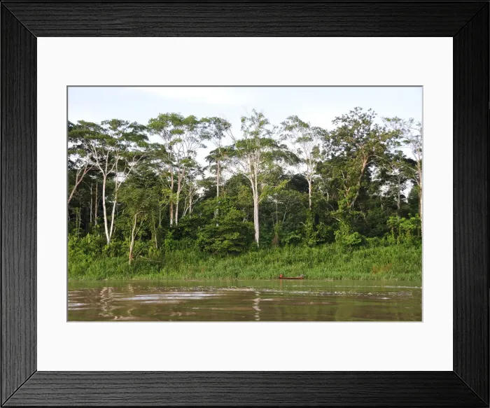 Framed Print : Amazon River, near Puerto Narino, Colombia Framed Print : Amazon River, near Puerto Narino, Colombia