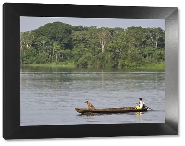 Man and his dog in a dugout canoe crossing the Amazon River, near Puerto Narino, Colombia