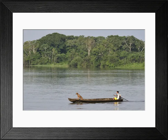 Framed Print : Man and his dog in a dugout canoe crossing the Amazon River, near Puerto Narino, Colombia Framed Print : Man and his dog in a dugout canoe crossing the Amazon River, near Puerto Narino, Colombia