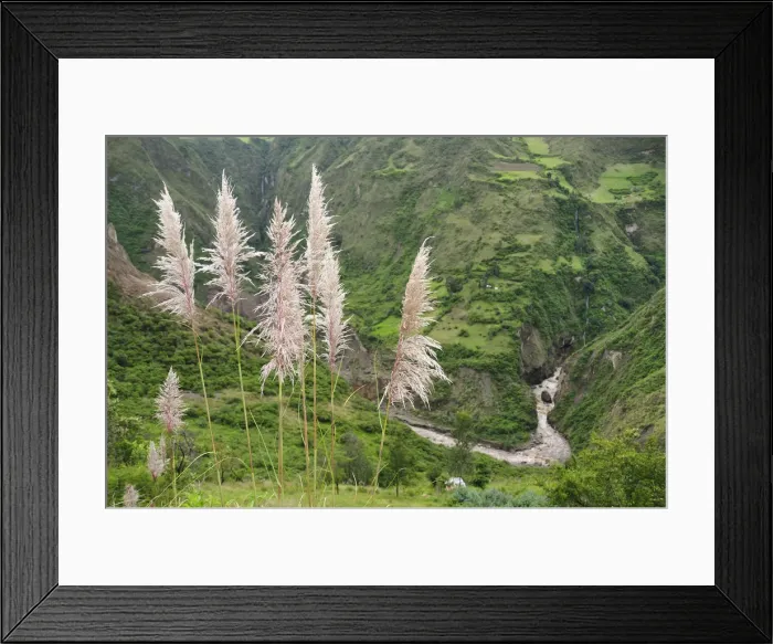 Framed Print : Canyon north of Pasto, Colombia, South America Framed Print : Canyon north of Pasto, Colombia, South America