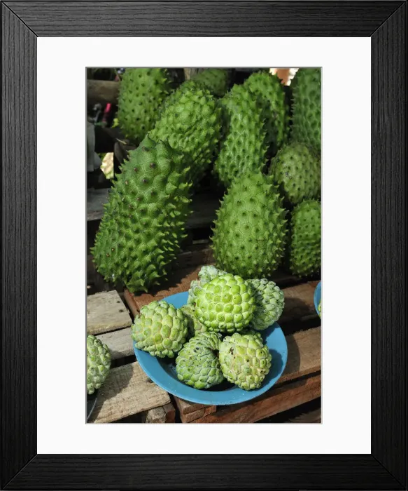 Framed Print : Fruit Stand in market, Southern Colombia, Colombia, South America Framed Print : Fruit Stand in market, Southern Colombia, Colombia, South America