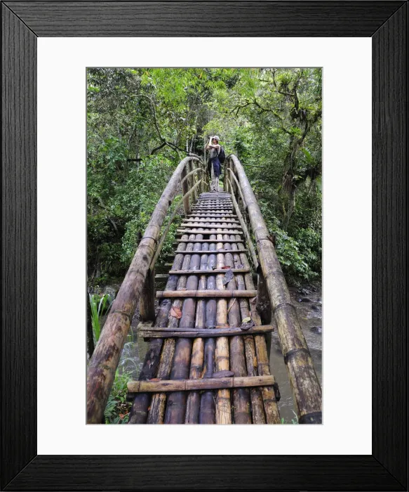 Framed Print : Woman standing on bamboo bridge, Terradentro, Colombia, South America Framed Print : Woman standing on bamboo bridge, Terradentro, Colombia, South America