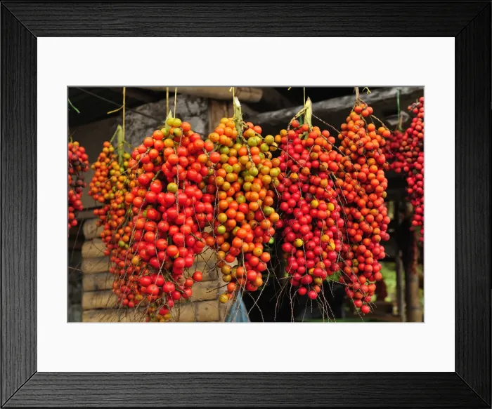 Framed Print : Fruit stall in a market, Medellin, Colombia, South America