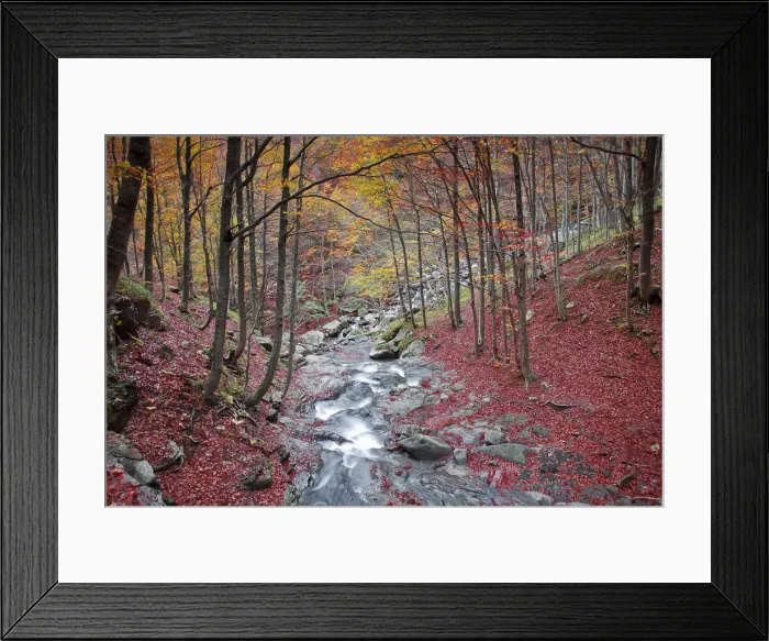 Framed Print : Lavacchiello waterfall in autumn, Tuscany-Emilian appennines, Emilia Romagna, Italy Framed Print : Lavacchiello waterfall in autumn, Tuscany-Emilian appennines, Emilia Romagna, Italy