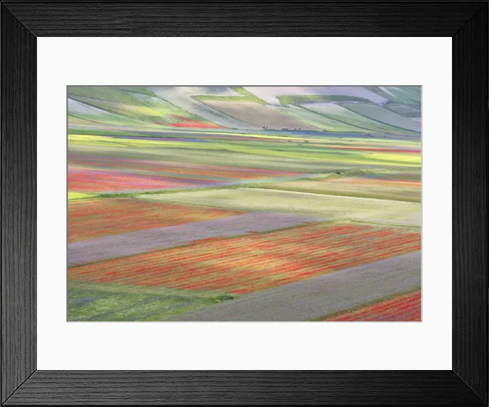 Framed Print : Europe, Italy, Umbria, Perugia district, flowering of Castelluccio of Norcia Framed Print : Europe, Italy, Umbria, Perugia district, flowering of Castelluccio of Norcia