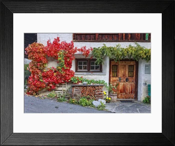 Framed Print : Autumn facade of a house, Coltura, Stampa, Maloja region, Canton of Graubunden, Bregaglia