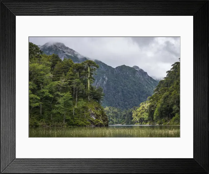 Framed Print : Lago del Toro amidst green Araucaria trees against mountain range, Huerquehue National Framed Print : Lago del Toro amidst green Araucaria trees against mountain range, Huerquehue National