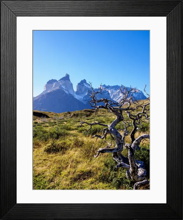 Framed Print : View towards Cuernos del Paine, Torres del Paine National Park, Patagonia, Chile Framed Print : View towards Cuernos del Paine, Torres del Paine National Park, Patagonia, Chile