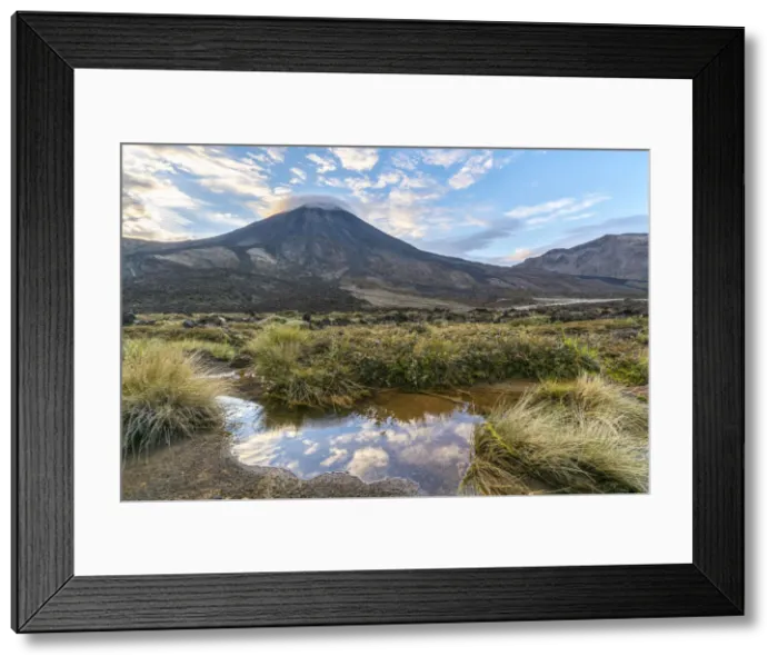Framed Print : Mount Ngauruhoe. Tongariro Alpine Crossing, Tongariro NP, North Island, New Zealand Framed Print : Mount Ngauruhoe. Tongariro Alpine Crossing, Tongariro NP, North Island, New Zealand
