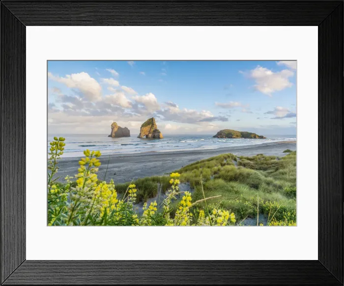 Framed Print : Yellow flowers with Archway Islands in the background Framed Print : Yellow flowers with Archway Islands in the background