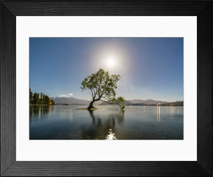 Framed Print : The lone tree in Lake Wanaka under the moonlight. Wanaka, Queenstown Lakes district