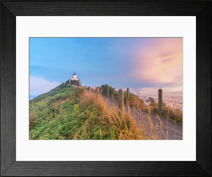Framed Print : Nugget Point lighthouse at sunset. Ahuriri Flat, Clutha district, Otago region, South Framed Print : Nugget Point lighthouse at sunset. Ahuriri Flat, Clutha district, Otago region, South