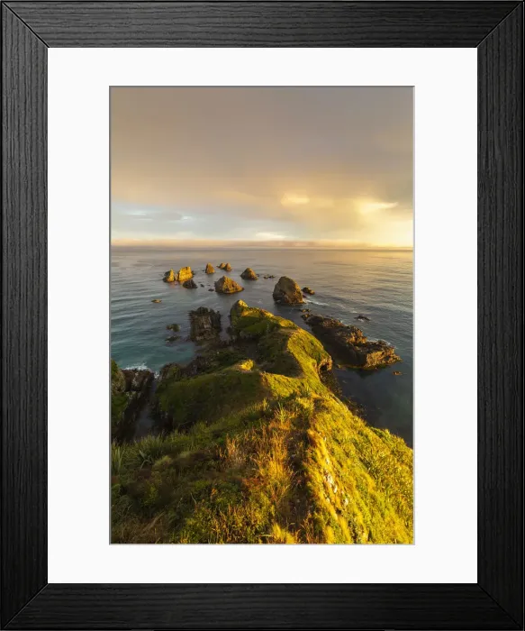 Framed Print : Golden light on The Nuggets islands just before sunset at Nugget Point. Ahuriri Flat