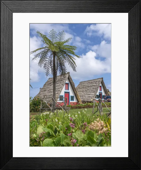 Framed Print : Traditional houses under a palm tree. Santana, Madeira Island, Portugal Framed Print : Traditional houses under a palm tree. Santana, Madeira Island, Portugal