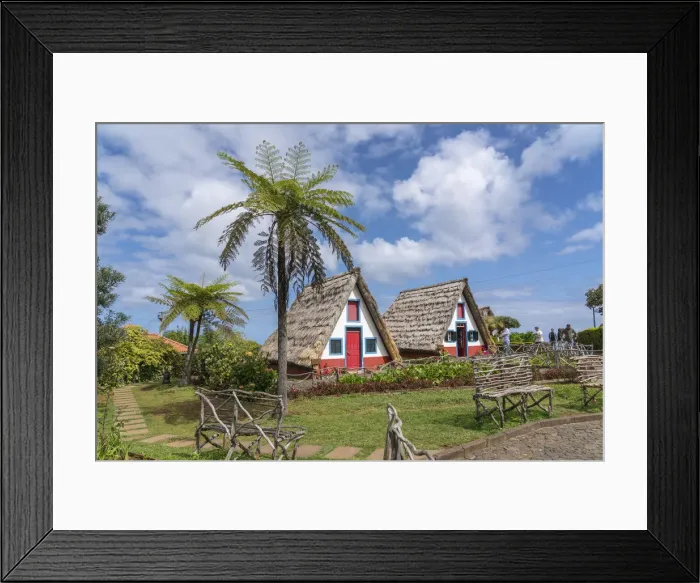 Framed Print : Traditional houses under a palm tree. Santana, Madeira Island, Portugal Framed Print : Traditional houses under a palm tree. Santana, Madeira Island, Portugal