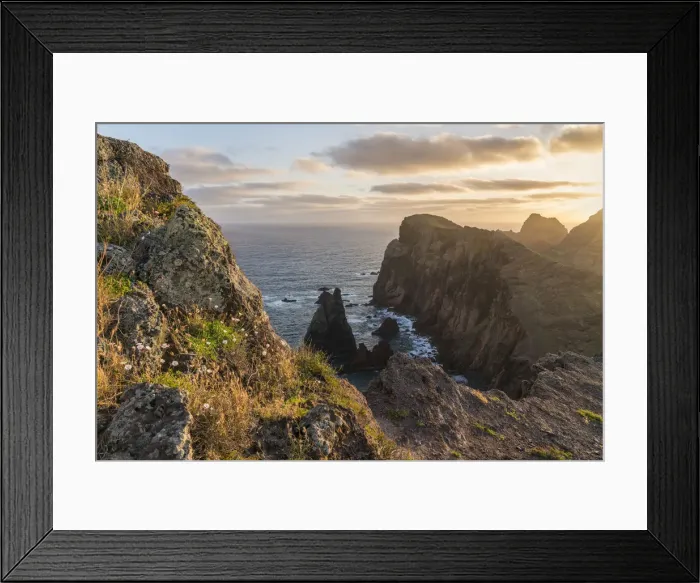 Framed Print : Flowers on the rocks and cliffs on the Atlantic Ocean at Point of St Lawrence at dawn Framed Print : Flowers on the rocks and cliffs on the Atlantic Ocean at Point of St Lawrence at dawn