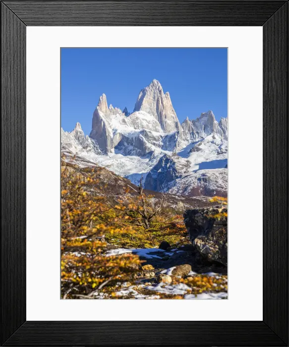 Framed Print : Argentina, Patagonia, Santa Cruz Province, Los Glaciares National Park, trees with autumn Framed Print : Argentina, Patagonia, Santa Cruz Province, Los Glaciares National Park, trees with autumn