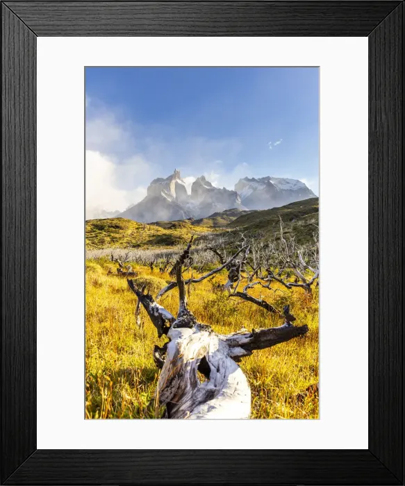 Framed Print : Chile, Patagonia, Magallanes and the Chilean region of Antarctica, Ultima Esperanza