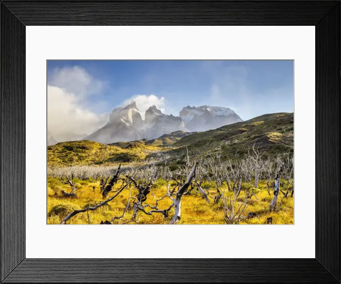 Framed Print : Chile, Patagonia, Magallanes and the Chilean region of Antarctica, Ultima Esperanza Framed Print : Chile, Patagonia, Magallanes and the Chilean region of Antarctica, Ultima Esperanza
