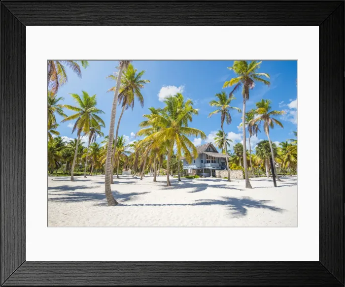 Framed Print : Canto de la Playa, Saona Island, East National Park (Parque Nacional del Este), Dominican Framed Print : Canto de la Playa, Saona Island, East National Park (Parque Nacional del Este), Dominican