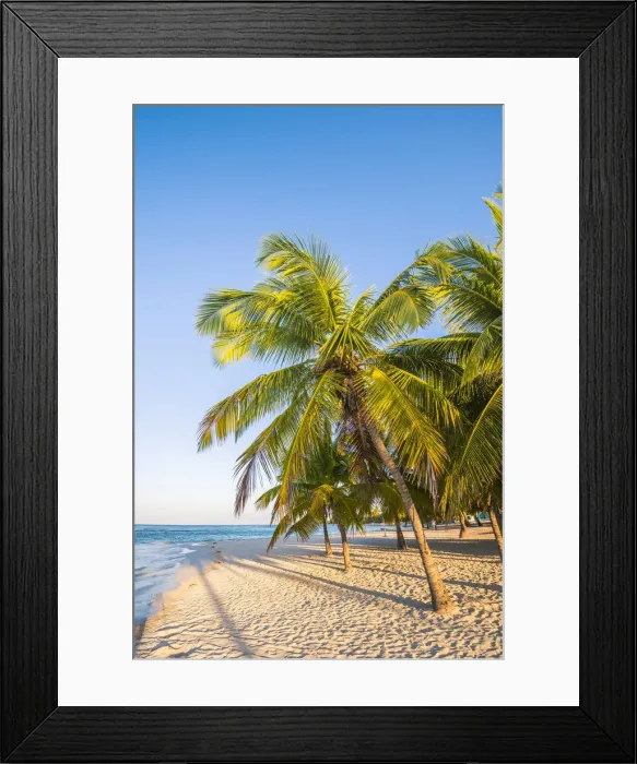 Framed Print : Mano Juan, Saona Island, East National Park (Parque Nacional del Este), Dominican Framed Print : Mano Juan, Saona Island, East National Park (Parque Nacional del Este), Dominican