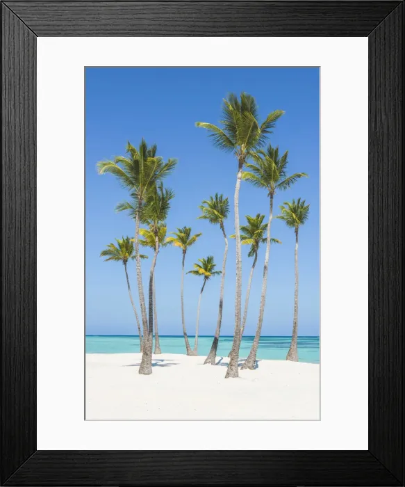 Framed Print : Juanillo Beach (playa Juanillo), Punta Cana, Dominican Republic Framed Print : Juanillo Beach (playa Juanillo), Punta Cana, Dominican Republic
