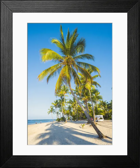 Framed Print : Cabeza de Toro beach, Punta Cana, Dominican Republic Framed Print : Cabeza de Toro beach, Punta Cana, Dominican Republic