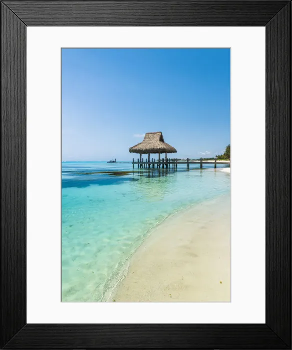 Framed Print : Playa Blanca, Punta Cana, Dominican Republic, Caribbean Sea. Thatched hut on the beach Framed Print : Playa Blanca, Punta Cana, Dominican Republic, Caribbean Sea. Thatched hut on the beach