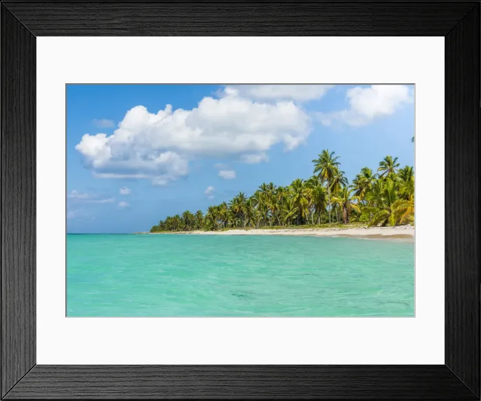 Framed Print : Canto de la Playa, Saona Island, East National Park (Parque Nacional del Este), Dominican Framed Print : Canto de la Playa, Saona Island, East National Park (Parque Nacional del Este), Dominican