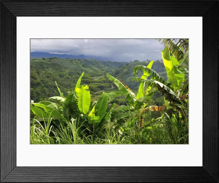 Framed Print : Armenia, Colombia, South America Framed Print : Armenia, Colombia, South America
