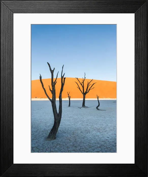 Framed Print : Dead Vlei, dead Acacia trees in the Namib desert at sunrise, Namibia. Africa Framed Print : Dead Vlei, dead Acacia trees in the Namib desert at sunrise, Namibia. Africa