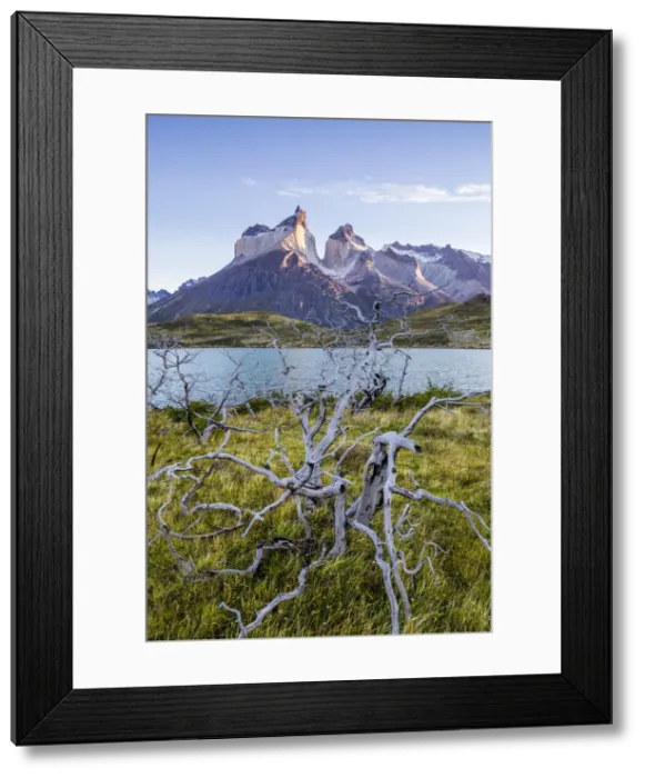 Framed Print : Chile, Patagonia, Magallanes and the Chilean region of Antarctica, Ultima Esperanza Framed Print : Chile, Patagonia, Magallanes and the Chilean region of Antarctica, Ultima Esperanza
