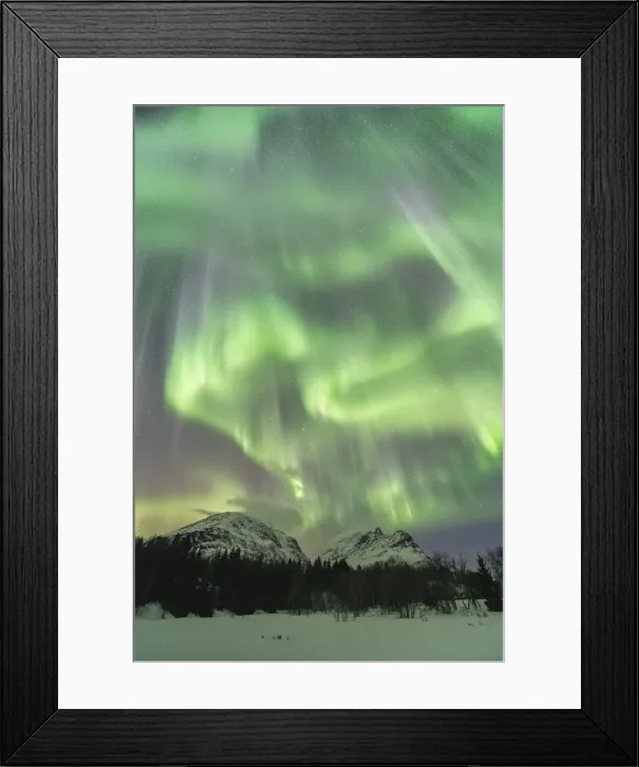 Framed Print : Northern lights in the sky above mountain peaks and trees Framed Print : Northern lights in the sky above mountain peaks and trees