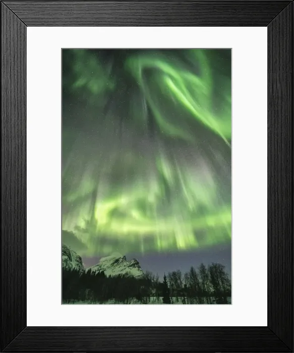 Framed Print : Northern lights in the sky above mountain peaks and trees Framed Print : Northern lights in the sky above mountain peaks and trees
