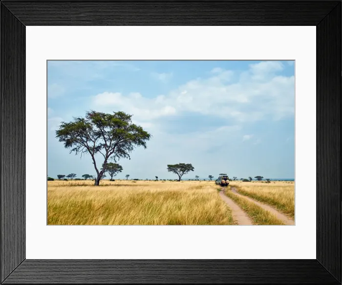 Framed Print : Wildlife game drive in Africa, Queen Elizabeth National Park, Kasese, Rwenzururu Framed Print : Wildlife game drive in Africa, Queen Elizabeth National Park, Kasese, Rwenzururu