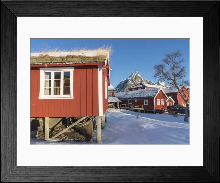 Framed Print : Traditional rorbu houses, with Olstinden peak in the background Framed Print : Traditional rorbu houses, with Olstinden peak in the background