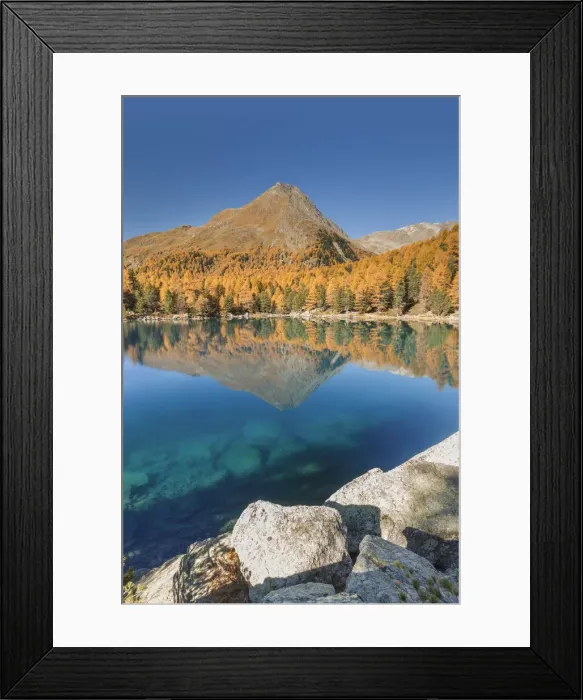 Framed Print : A perfect autumn day, lake Saoseo, Poschiavo, val di Campo, Canton of Graubunden Framed Print : A perfect autumn day, lake Saoseo, Poschiavo, val di Campo, Canton of Graubunden
