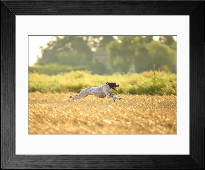 Framed Print : Modena province, Emilia Romagna, Italy, Europe Framed Print : Modena province, Emilia Romagna, Italy, Europe