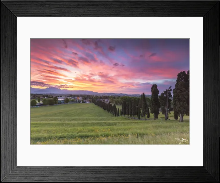 Framed Print : Sunrise on Viale dei Cipressi, Inverigo, Brianza, Como province, Lombardy, Italy Framed Print : Sunrise on Viale dei Cipressi, Inverigo, Brianza, Como province, Lombardy, Italy