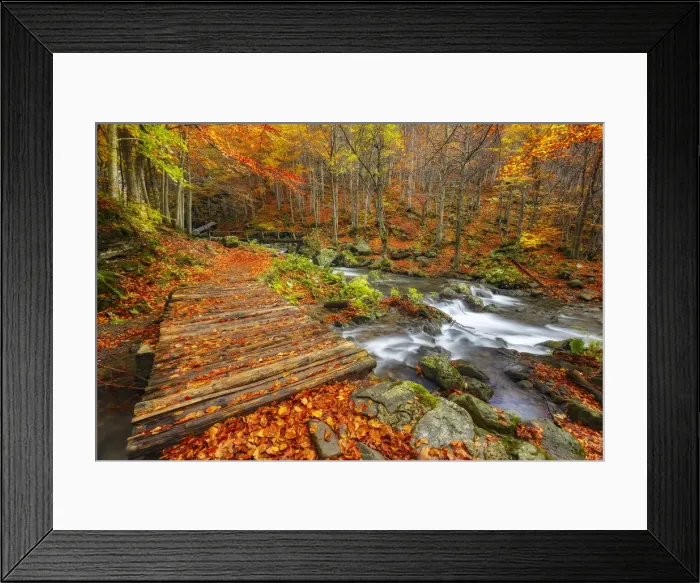 Framed Print : Dardagna river, Corno Alle Scale Regional Park, Lizzano in Belvedere, Bologna province Framed Print : Dardagna river, Corno Alle Scale Regional Park, Lizzano in Belvedere, Bologna province