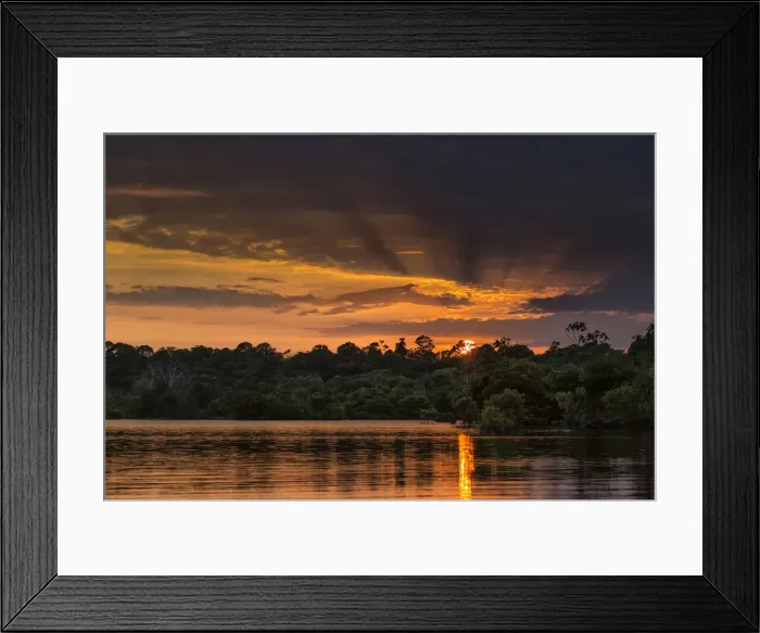 Framed Print : Rio Negro basin, Amazonas, Brasil Framed Print : Rio Negro basin, Amazonas, Brasil