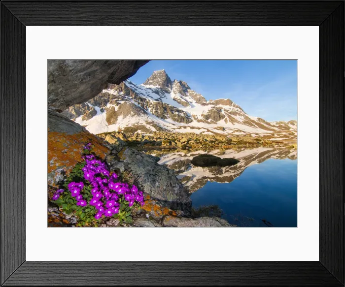 Framed Print : Spring blooming in Valtellina, Sondrio district, Lombardy, Italy Framed Print : Spring blooming in Valtellina, Sondrio district, Lombardy, Italy